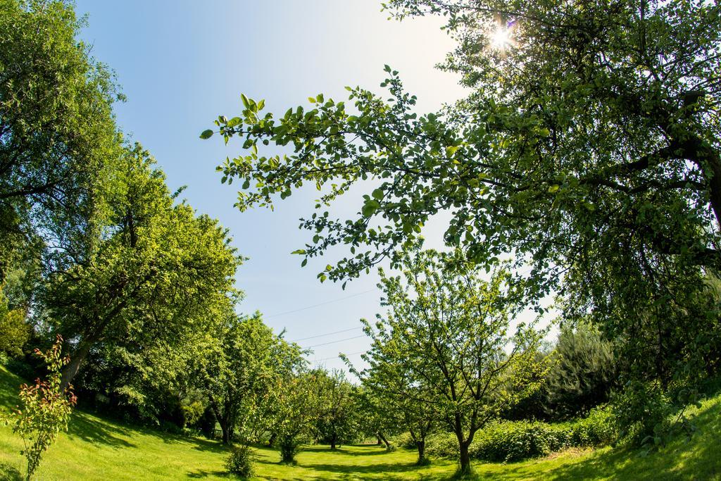 Oswiecim * Skidzin